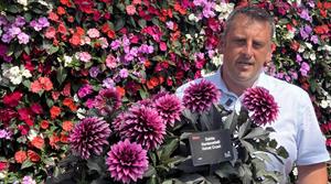Andy Ward with Velvet Crush